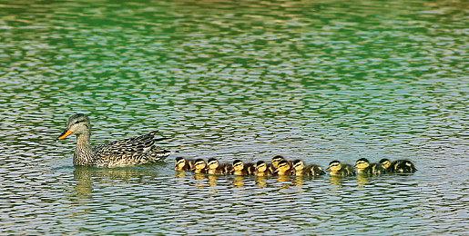 维塔士完成在乌克兰基辅的新工作室收购 全球增长宏图再进一步